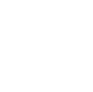 logos_0007_NECC.png