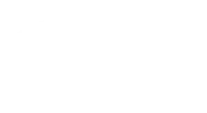 logos_0057_Badshah_Masala.webp